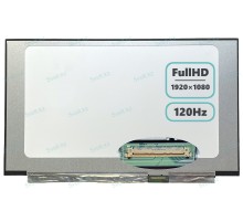 Экран / матрица для Acer Predator Helios 300 PH315-53 (120Hz)