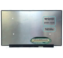 Экран / матрица для Acer Predator Helios 300 PH317-56 (QHD/165Hz)